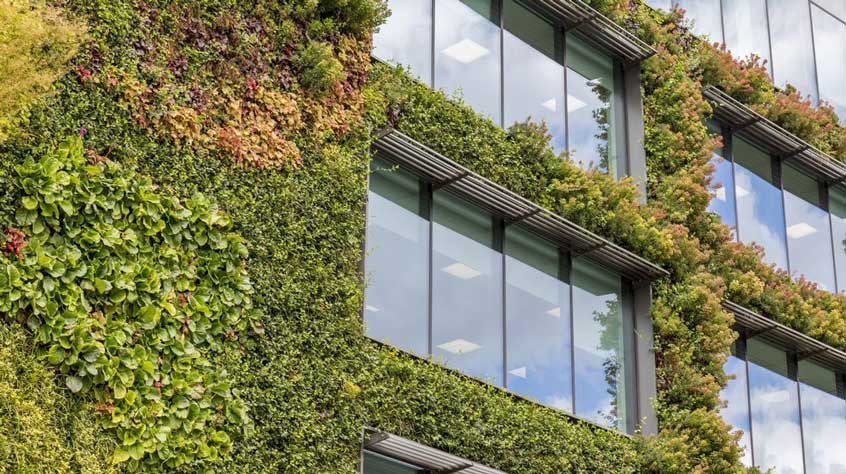 A close up of glass windows with vibrant natural life covering the entire outside of the building.