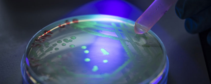 We are a top 30 UK research-intensive university, winning £77 million funding in 2019/20, the highest on record at the University.   