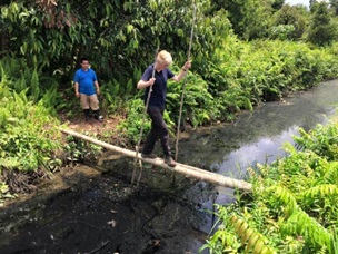 Peatland fieldwork