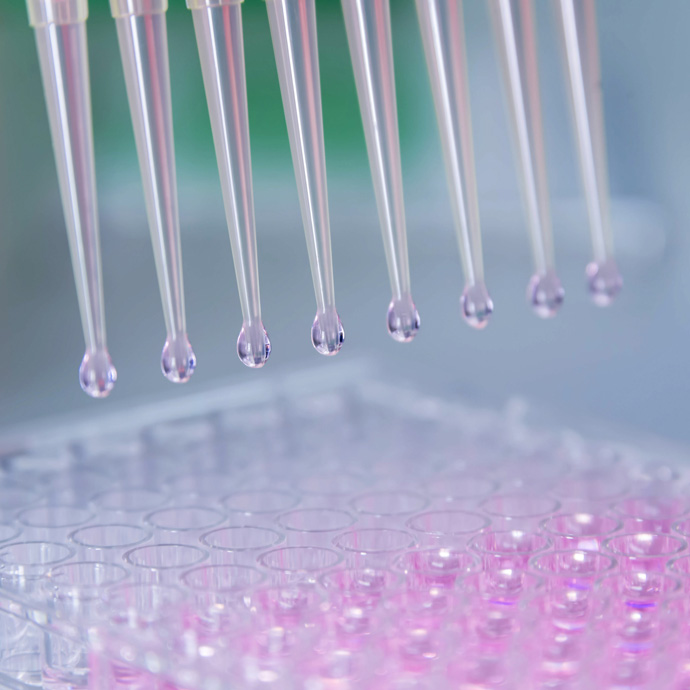 Pipettes putting liquid into test tubes