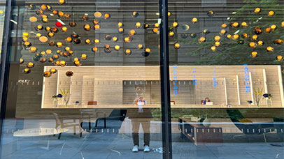 A photograph of a person taken of their reflection on two big glass windows, through the windows there is a large reception desk with people working. Above is an array of lightbulbs creating a yellow starry art piece