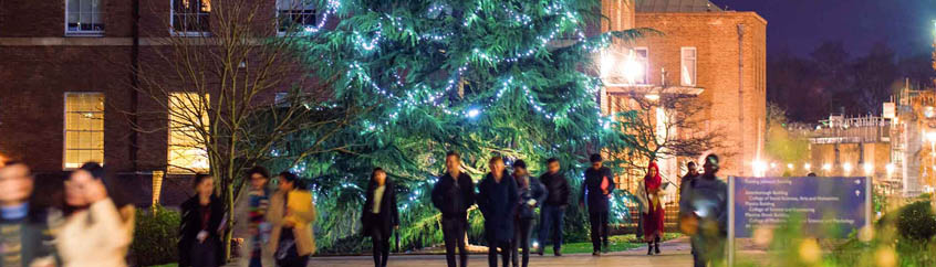 christmas on campus as the tree is lit up and people walk in front of the fielding johnson building