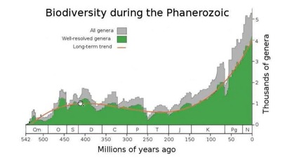 Understanding Phanerozoic Mass Extinctions: How Mathematical Modelling Can Contribute? 