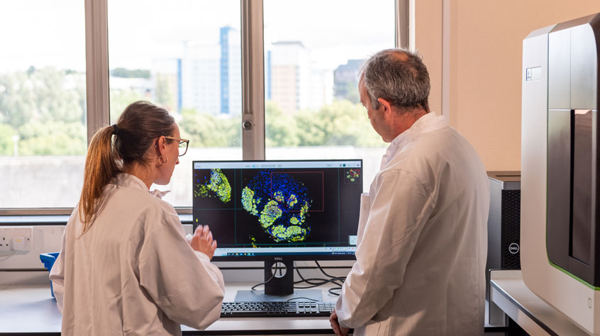 Two scientists looking at the screen of a computer in a lab