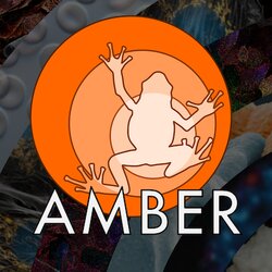 AMber logo, frog on orange background