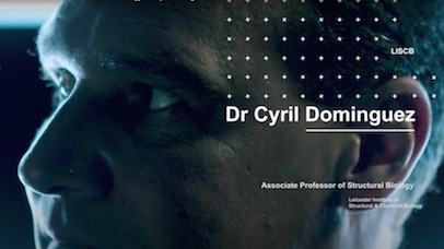 Cyril Dominguez still from video.
