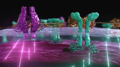 Still from Gooptu video