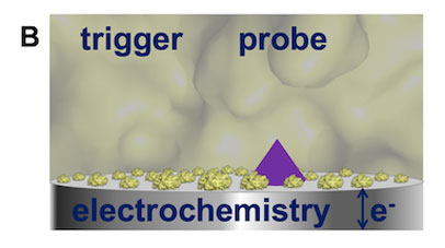 electrochemistry can changing the redox states of the metalloenzymes shown on there as small spheres. This will change their behaviour following triggers  and measured by probes. Electrochemistry can be used to poise metalloenzymes in specific redox states, and this control can be combined with external triggers and spectroscopic probes to study enzyme mechanism in solution