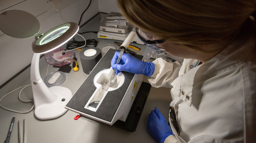 Person working in a lab