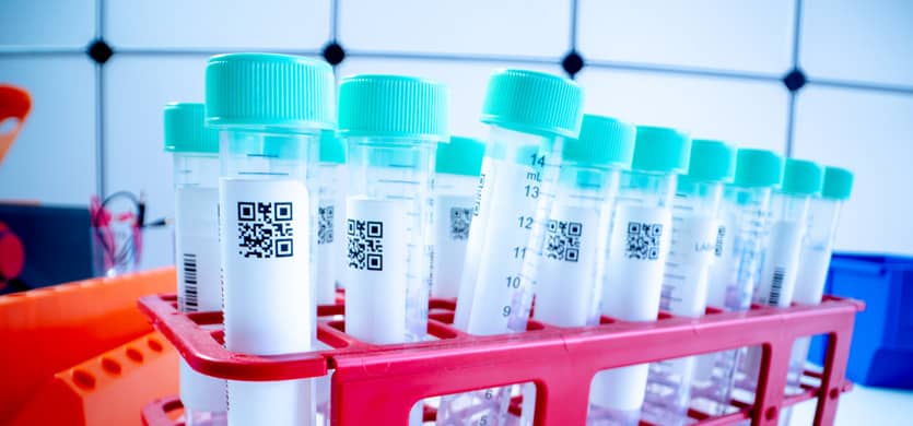 Professors Chris Brightling and Louise Wain, and Dr Rachael Evans, lead an £8.4m study in to the long term health impact of hospitalised patients