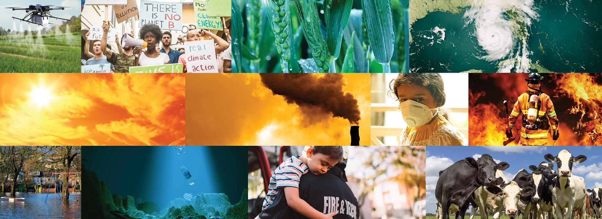 Multiple images of nature, including skies, field of cows and deep sea in orange and green.