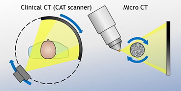 In clinical CT (left), the X-ray source and detector rotate around the body whereas in micro-CT (right) the sample rotates while the X-ray source and detector remain in fixed positions.