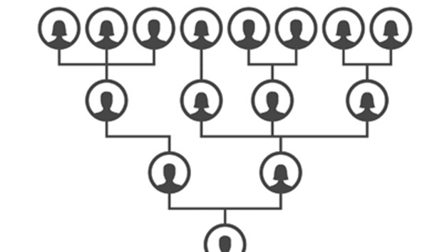 Two Family Line Female-line family tree | Richard III: Discovery and identification ...
