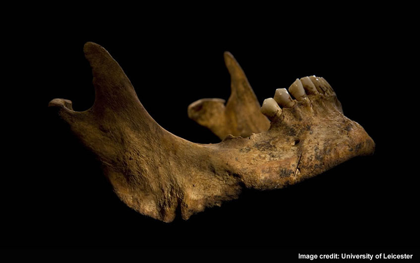 A blade has cut the right side of Richard III's chin