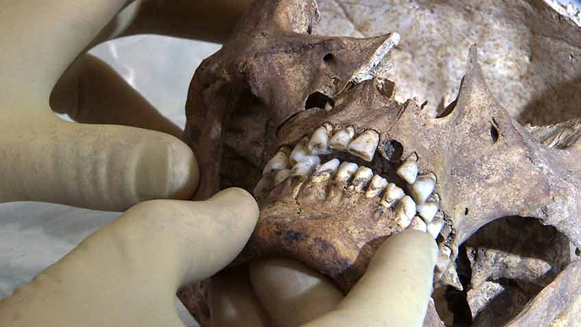 Jo Appleby handling King Richard III's remains