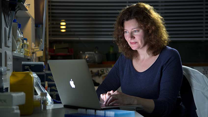 Turi King working at a laptop