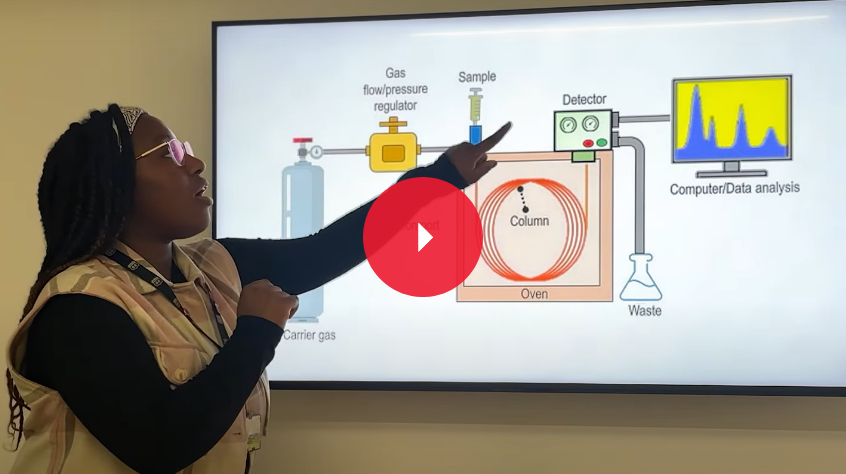 Marguerite showing how a process works during her placement year