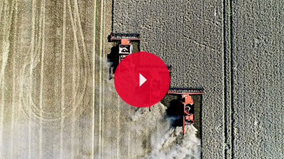 Crops being harvested
