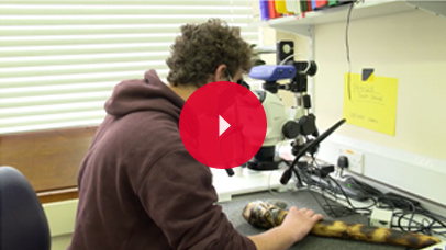 Student working with archaeological equipment