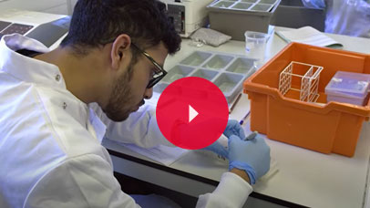 Student working in a lab