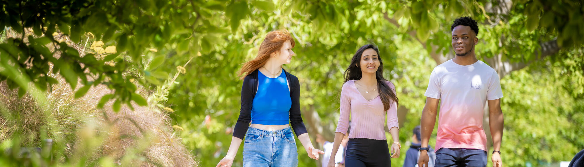 Three students walking on a sunny day.