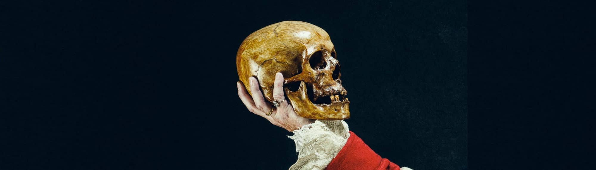 A hand holding a skull