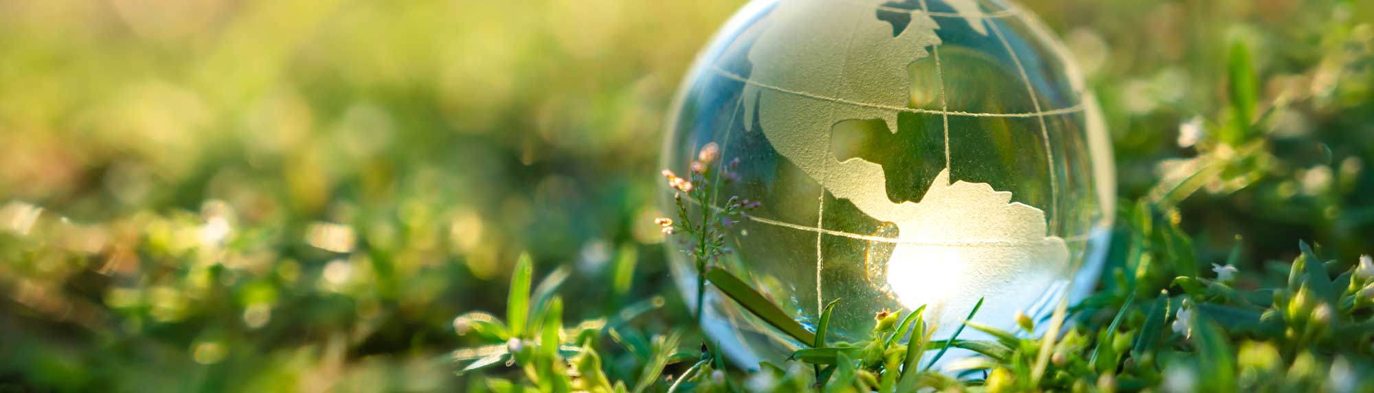 Glass globe sitting in some grass