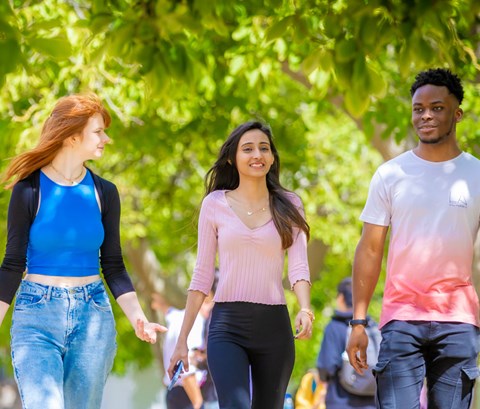 Three students walking through a park with lots of trees around them on a sunny day.