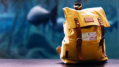 rucksack on a bench with fishtank behnd