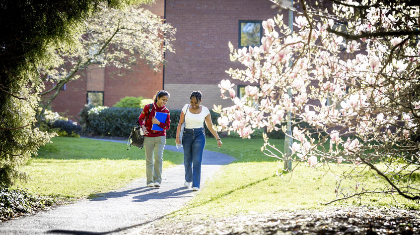 Two students walking on a path, surrounded by greenery and a blossom tree.
