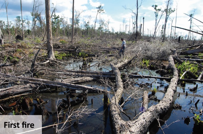 Indonesian peat fire carbon emissions vary considerably based on fire type study shows