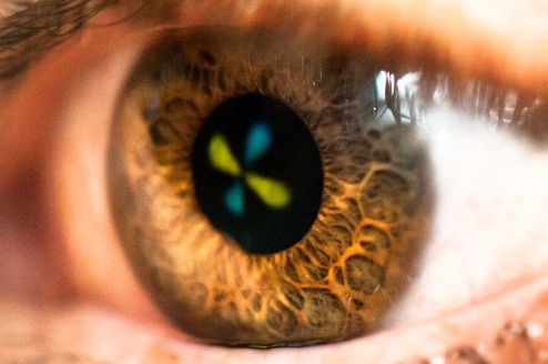 Visually Appear Insights into visual supersense provided by new study | News ...