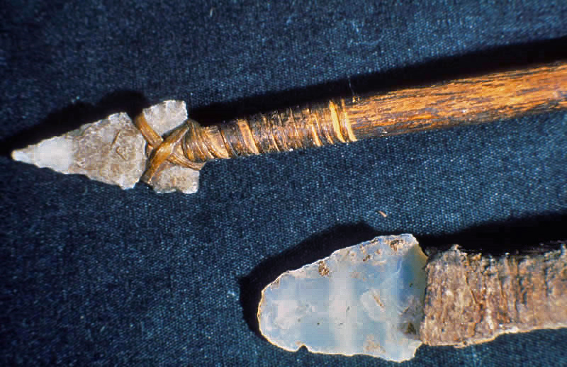 Pick your poison study examines the use of plant poison on prehistoric ...