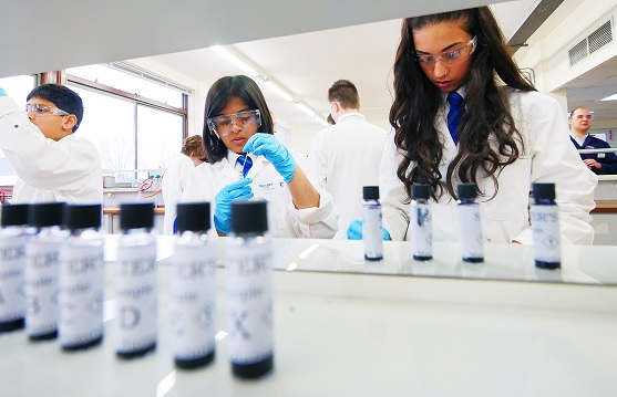 Salters Festival of Chemistry teaches students from local schools about science