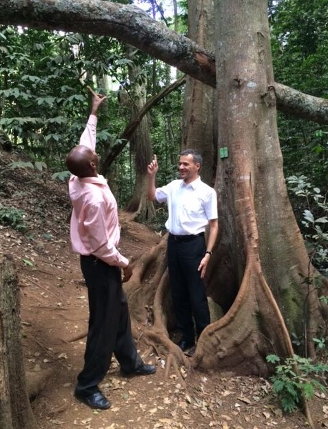 Satellite project will monitor Kenyas forests in near realtime