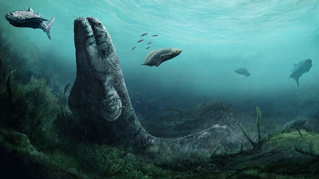Fossils solve mystery of how life moved onto land