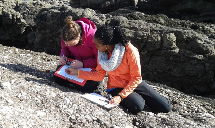 Dissertation abstracts online geophysics