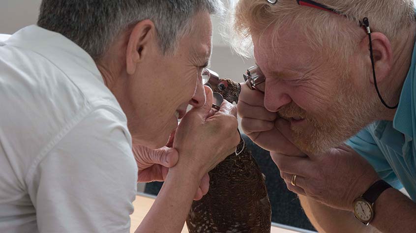 Ian and Sheila closely examining an object