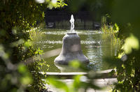 A fountain in the botanic garden on a sunny day