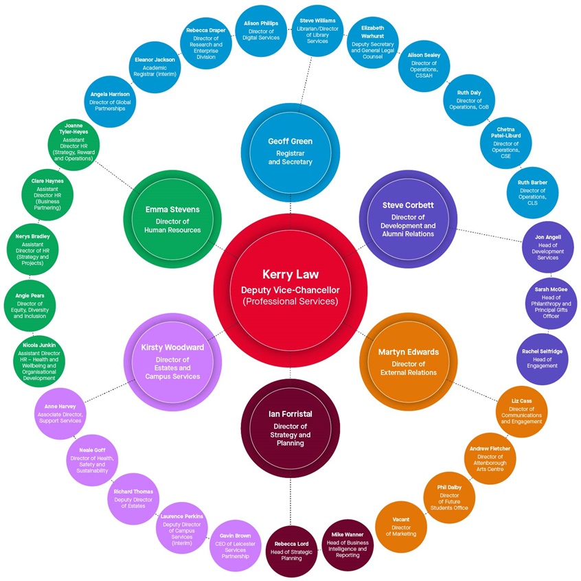 Professional services organisation chart